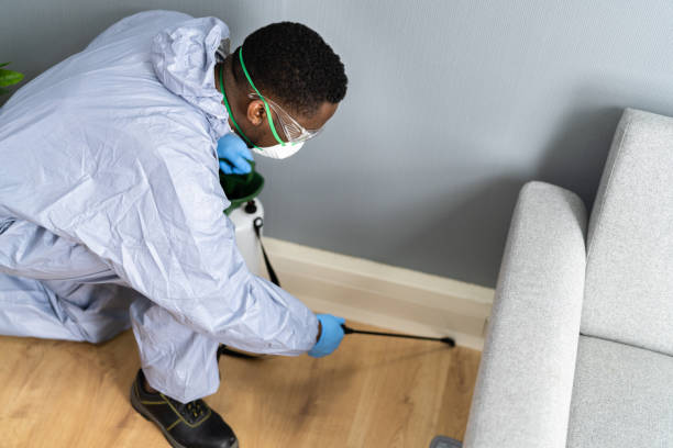 Best Indoor Pest Control  in Elmsford, NY